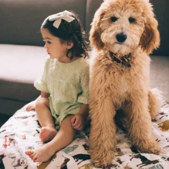 Cotton Muslin Quilted Throw - Woof