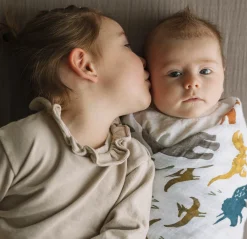 Cotton Muslin Swaddle Blanket - Dino Friends