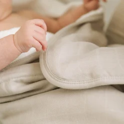Infant Hooded Towel - Porpoise