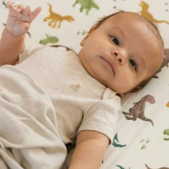 Stretch Knit Crib Sheet - Dino Pals