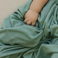 Stretch Knit Swaddle Blanket 2 Pack - Dino Pals