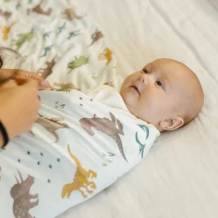 Stretch Knit Swaddle Blanket 2 Pack - Dino Pals